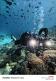 huawei mate 80 diver coral reef underwater