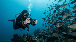 huawei pura 90 diver fish school seatouch