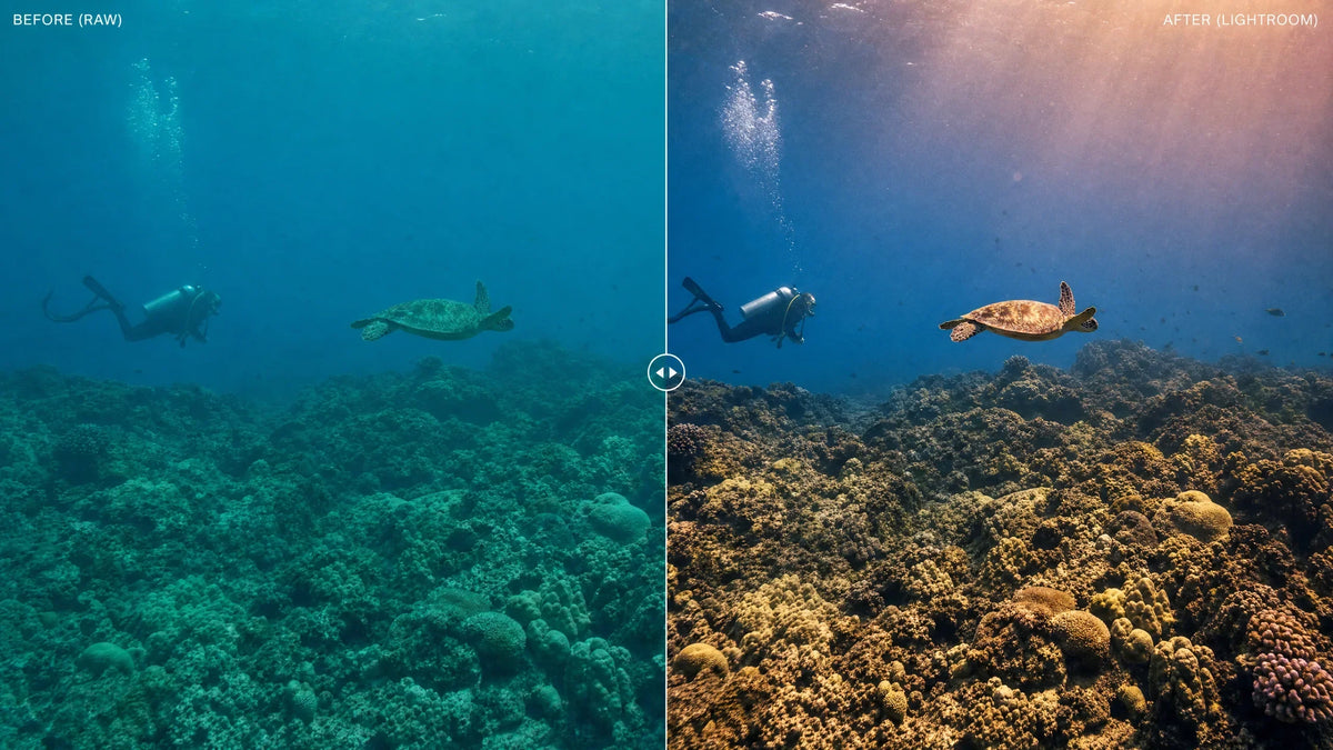lightroom before after reef hero