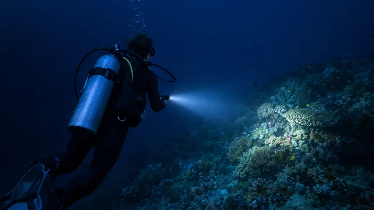 Scuba diver at night sweeping a dive torch beam over a coral reef