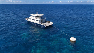 offshore marine protected area mooring