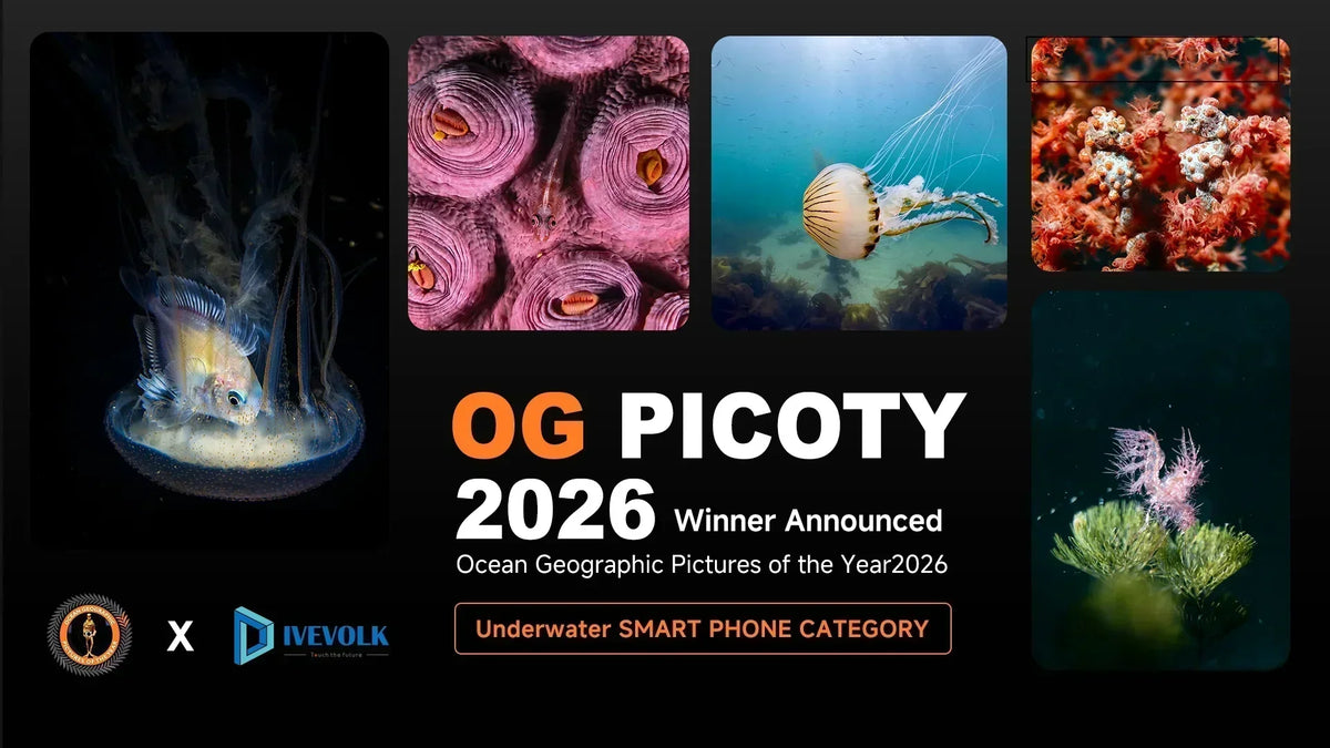 OGPICOTY 2026 Underwater Smart Phone Category winners — DIVEVOLK x Ocean Geographic poster