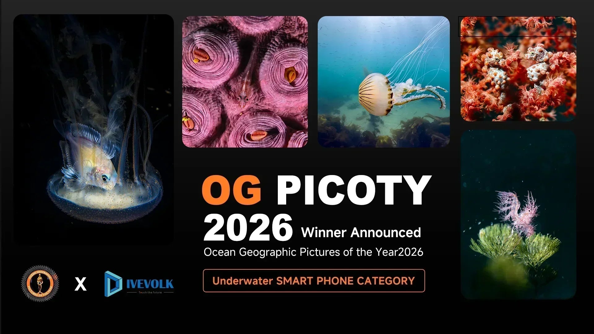 OGPICOTY 2026 Underwater Smart Phone Category winners — DIVEVOLK x Ocean Geographic poster