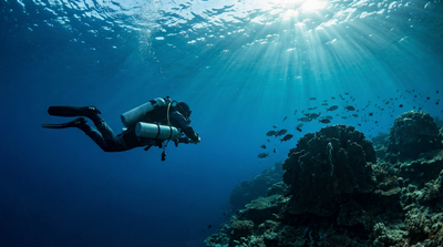 Is Scuba Diving Dangerous? A Practical Risk Map for Recreational Divers