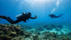 stable underwater video shot phone housing