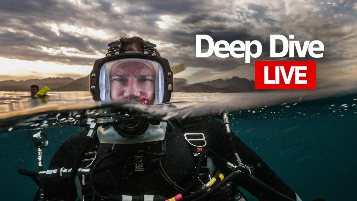 steve backshall nma livestream thumbnail