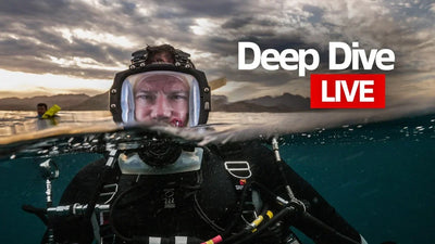 steve backshall nma livestream thumbnail
