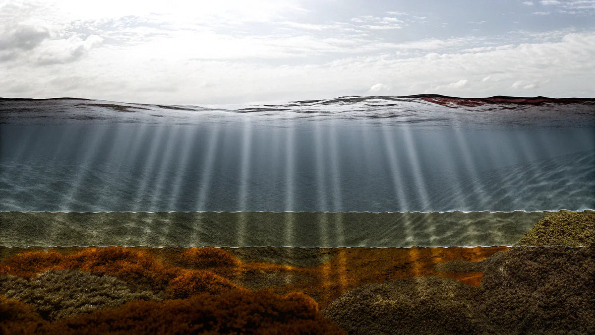 light spectrum absorption underwater showing red orange yellow colors fading with depth