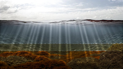 light spectrum absorption underwater showing red orange yellow colors fading with depth
