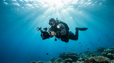 2026 Underwater Photography Goals: Beginner to Pro Guide