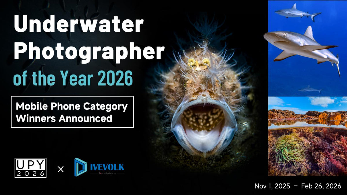 UPY 2026 x DIVEVOLK Smartphone Category — Underwater Photographer of the Year mobile phone category winners announced