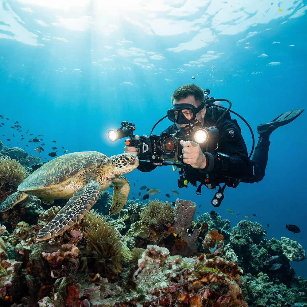 DIVEVOLK 双手柄托盘，适用于智能手机水下外壳、紧凑型相机外壳、运动相机、Gopro、DJI Action、Insta360