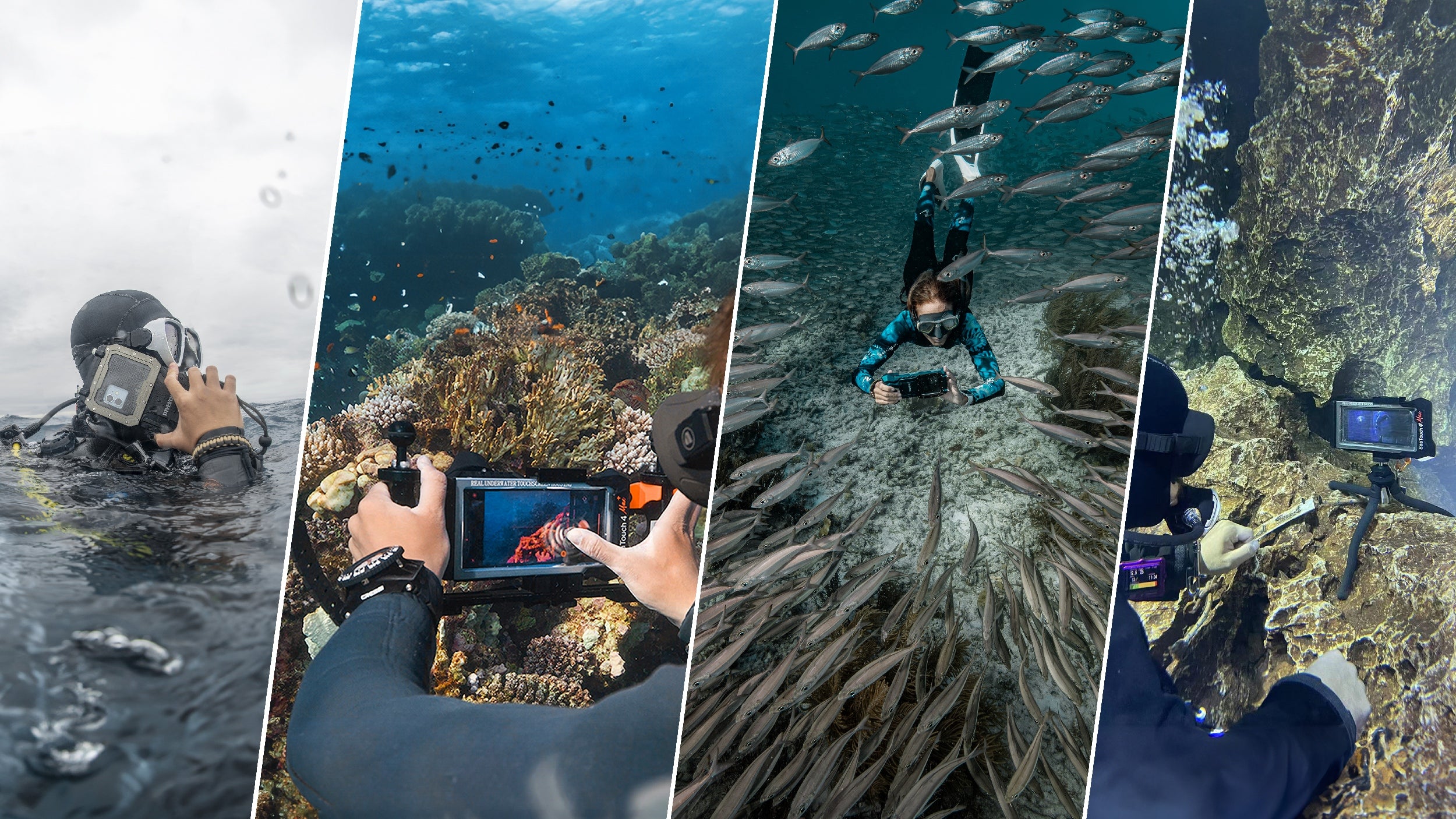 Collage of underwater scenes with divers and marine life.