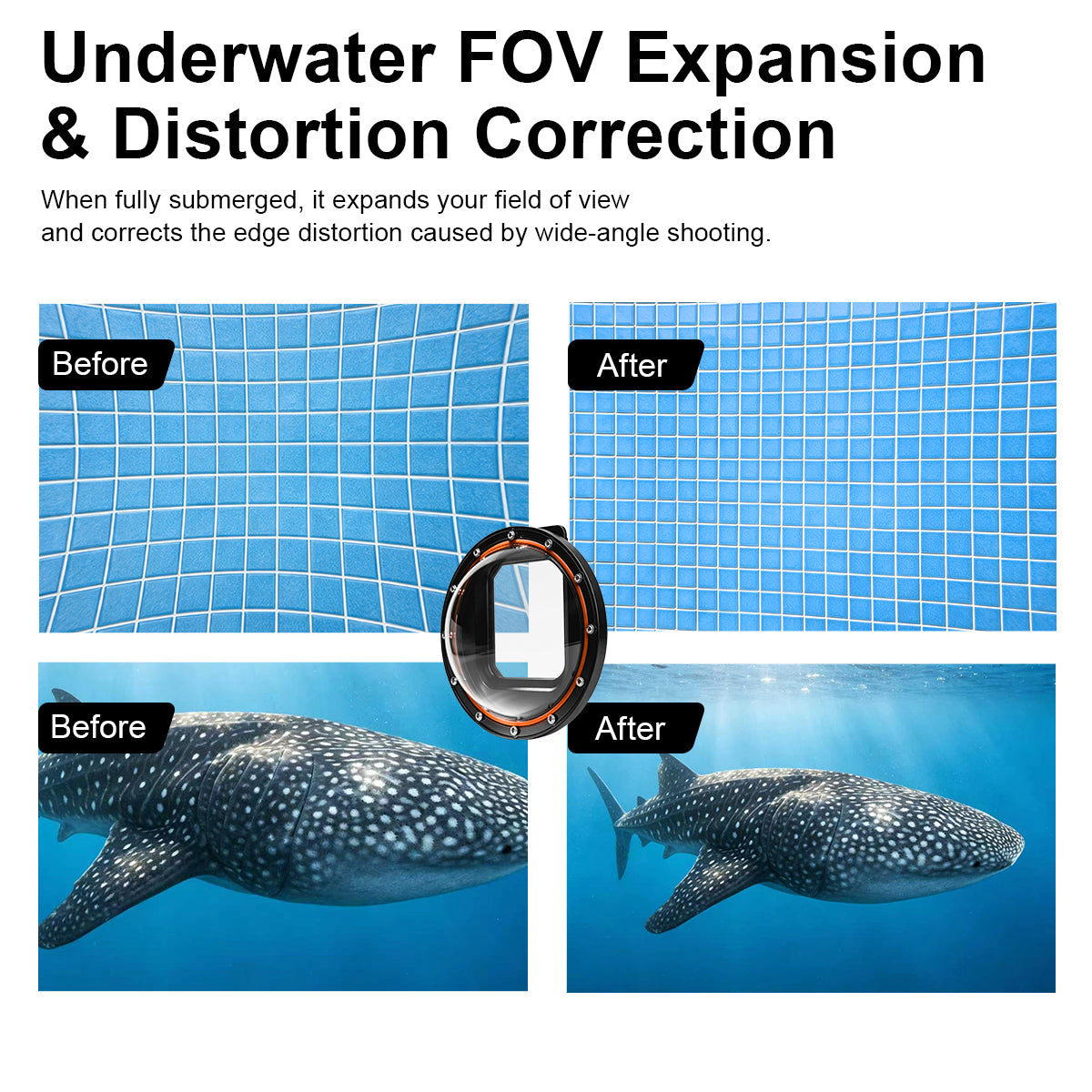 Underwater FOV Expansion and Distortion Correction — before and after comparison showing wider field of view and corrected edge distortion in both pool tiles and whale shark footage