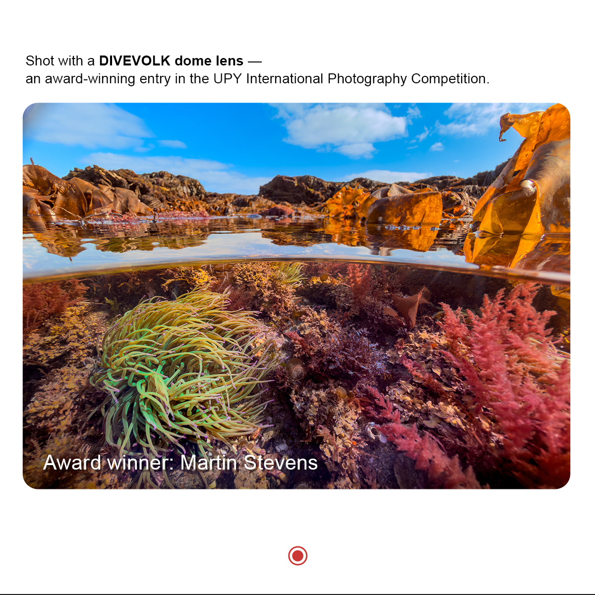 UPY International Photography Competition award-winning split-shot photo by Martin Stevens, captured with a DIVEVOLK dome lens, showing vibrant underwater coral and seaweed with sky reflection above the waterline