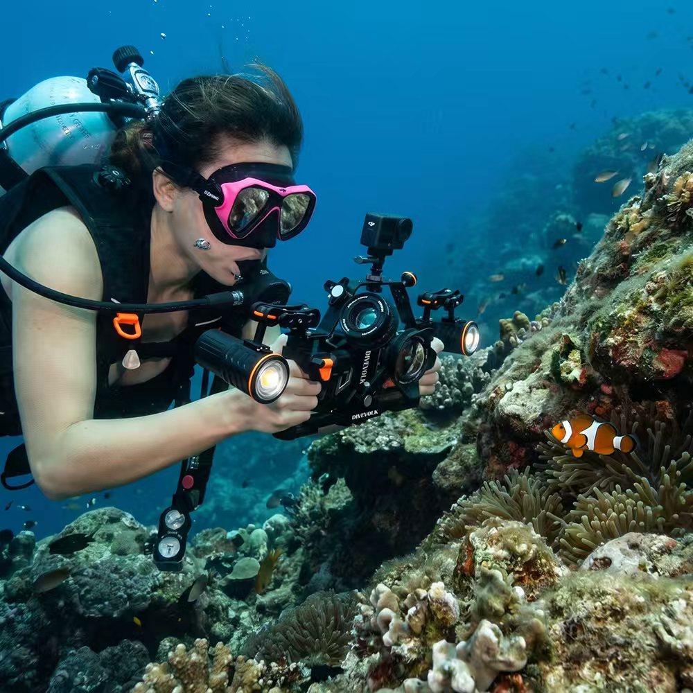 DIVEVOLK dual handle tray underwater shooting, stable dual grip rig for marine life photo & video