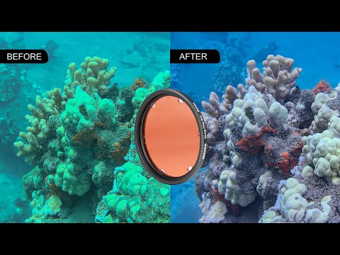 DIVEVOLK red filter for underwater photography color correction