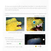 DIVEVOLK SeaTouch 3 PRO Unterwasser-iPhone-Tauchgehäuse, iPhone-Tauchgehäuse kompatibel zu iPhone/ Samsung/ Hua Wei